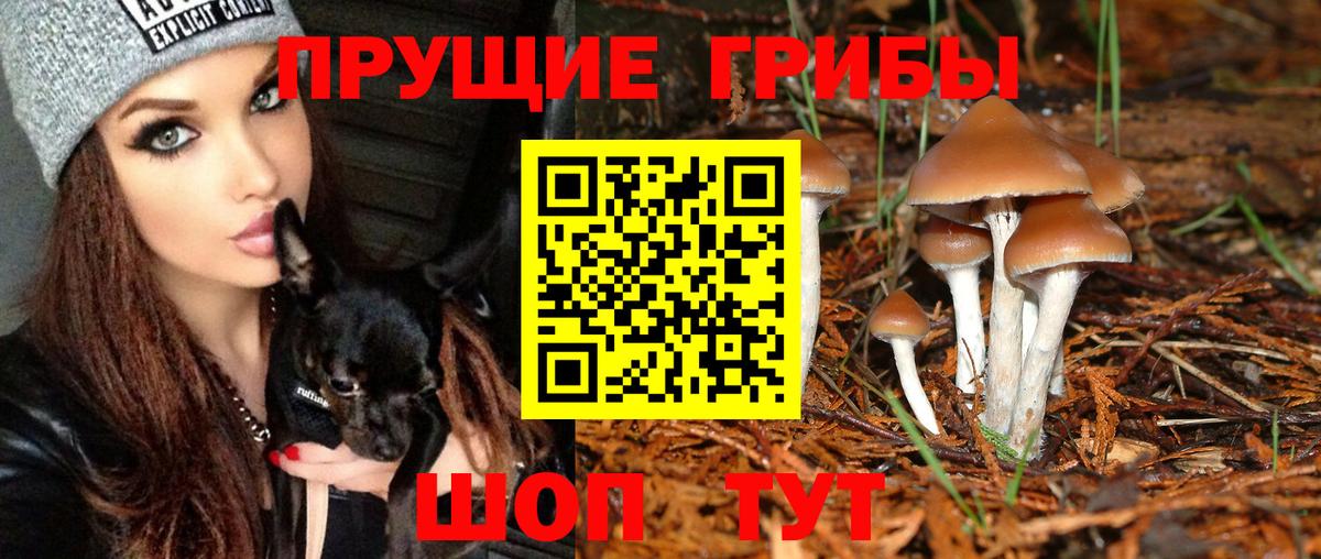 Псилоцибиновые грибы Magic Shrooms  Вход с VPN  Холмск 